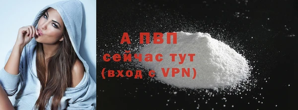 стаф Вязьма