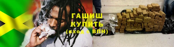 стаф Вязьма