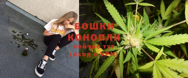 стафф Вяземский