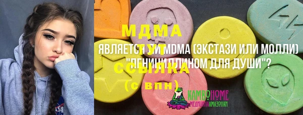 стаф Вязьма