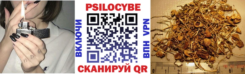 Псилоцибиновые грибы Psilocybe  как найти закладки  Заполярный 